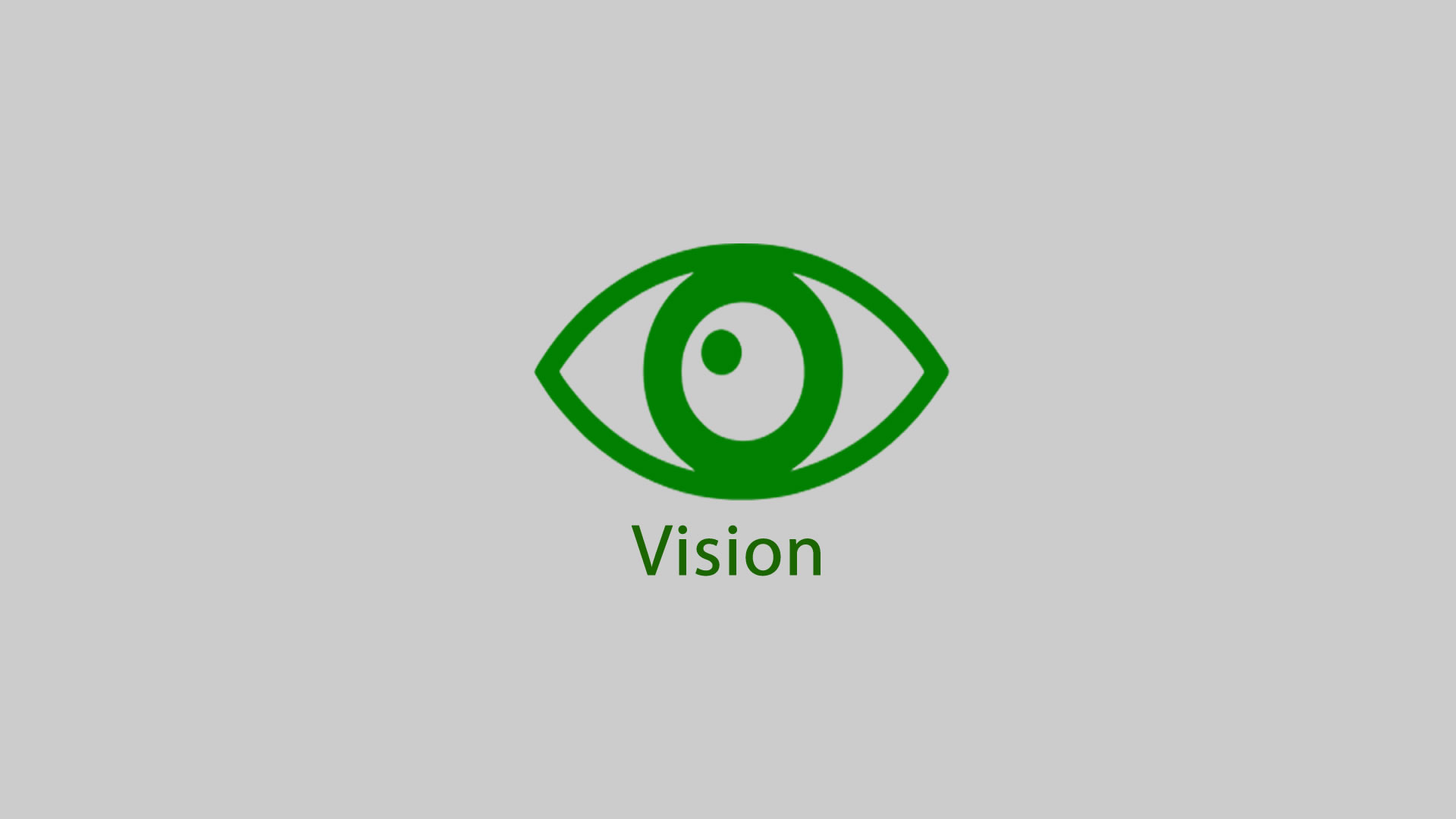 VisionB